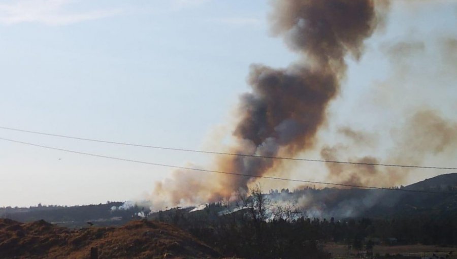 Incendio forestal consume 3.000 metros cuadrados de pastizales en sector Puente Colmo de Concón