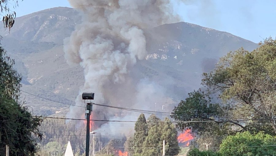 Intendencia de Valparaíso declara Alerta Roja para la comuna de Quillota por incendio forestal