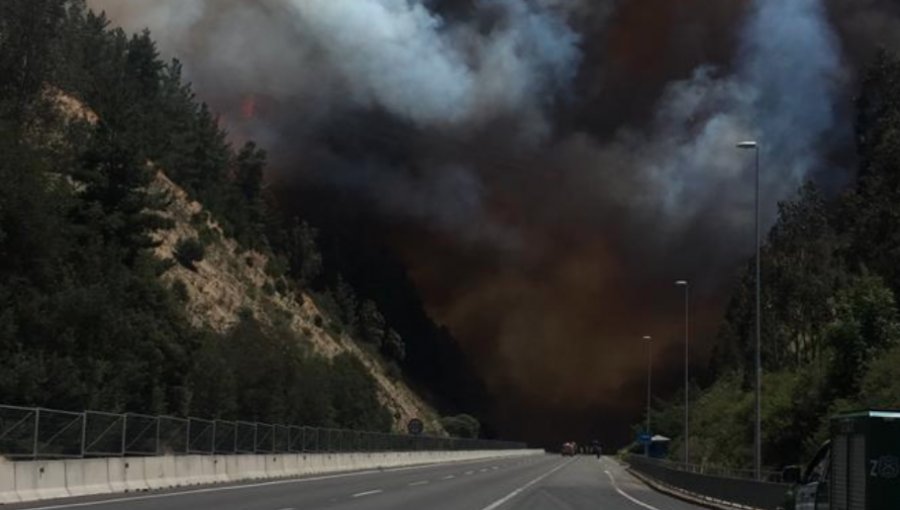 Alerta Roja: Tres incendios forestales en Valparaíso y Casablanca consumen 400 hectáreas