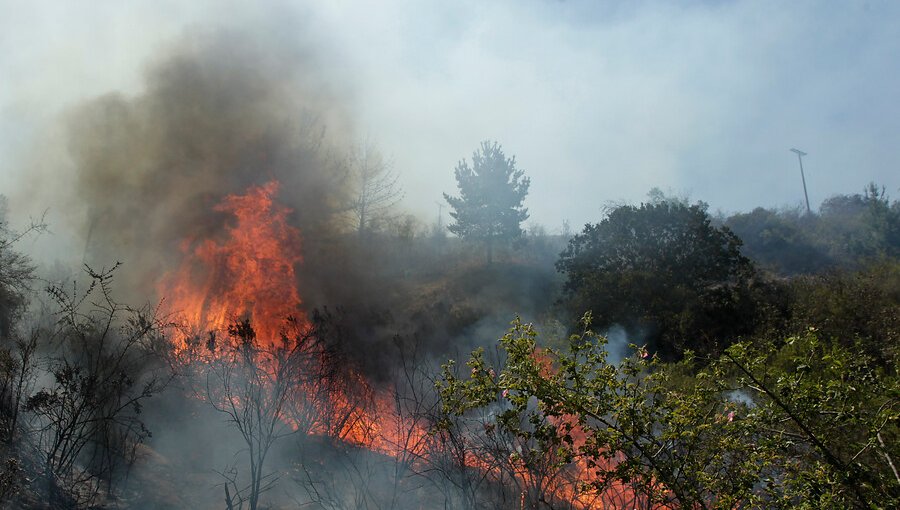 Reporte nacional de incendios forestales: 12 siniestros se encuentran activos