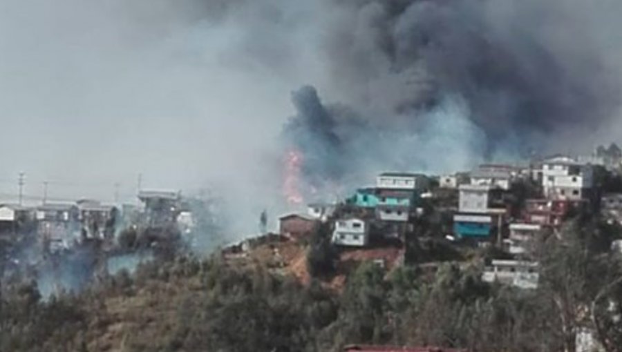 Nueve viviendas consumió violento incendio en sector Rodelillo de Valparaíso