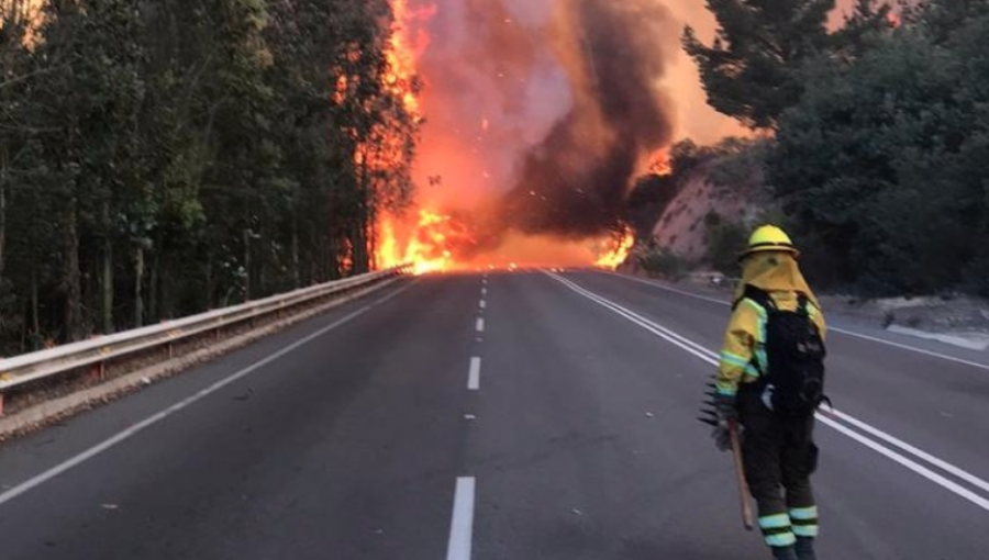 Quintay: Agresivo rebrote mantiene en completo descontrol incendio forestal en el fundo Las Tablas