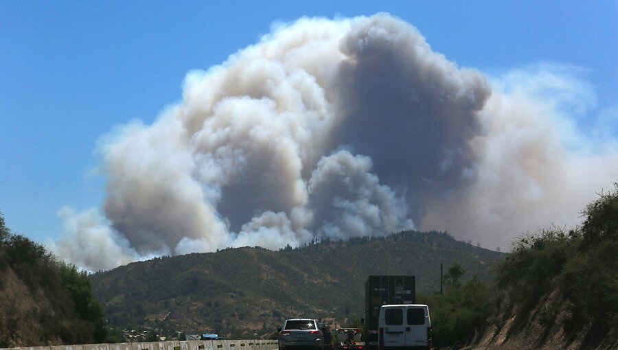 Cinco incendios forestales se mantienen activos en Valparaíso: se han quemado casi 3.500 hectáreas