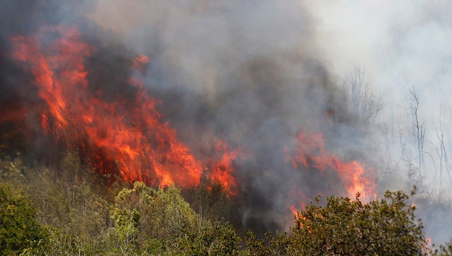 Resumen nacional de incendios forestales: 10 siniestros se encuentran activos