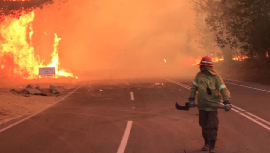 Seis de los 11 incendios forestales activos en el país se concentran en la región de Valparaíso