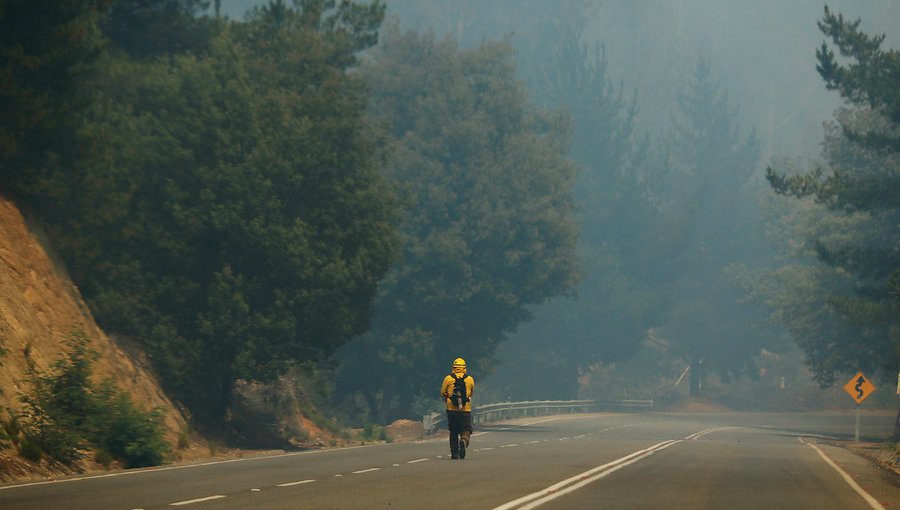 Intendencia interpuso 10 querellas criminales por incendios forestales en la región de Valparaíso