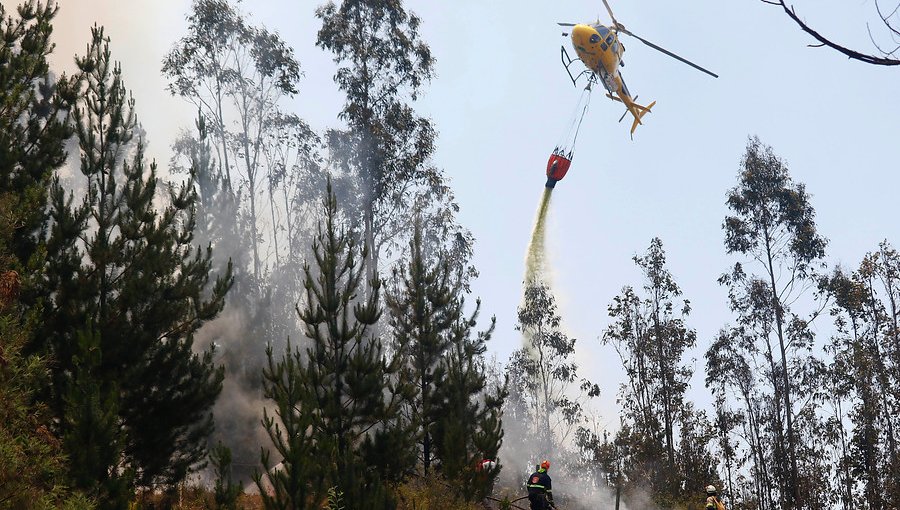 Tres incendios forestales se encuentran activos en la región de Valparaíso: tres fueron controlados y dos extinguidos