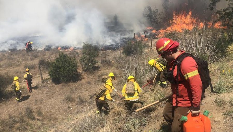 Por incendios forestales, Conaf mantendrá cerrada la administración de la Reserva Lago Peñuelas