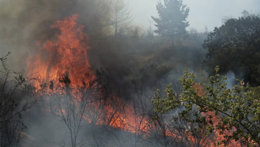 Sólo el incendio forestal entre Valparaíso y Casablanca se mantiene activo en la región