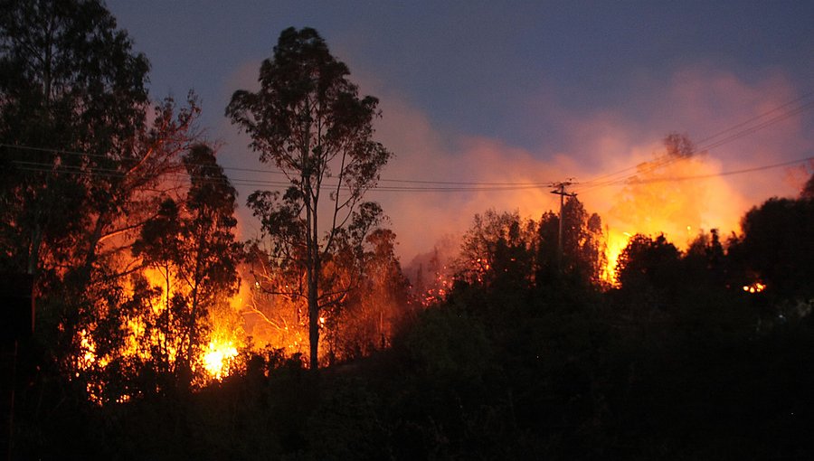 Resumen nacional de incendios forestales: Cinco siniestros se encuentran activos