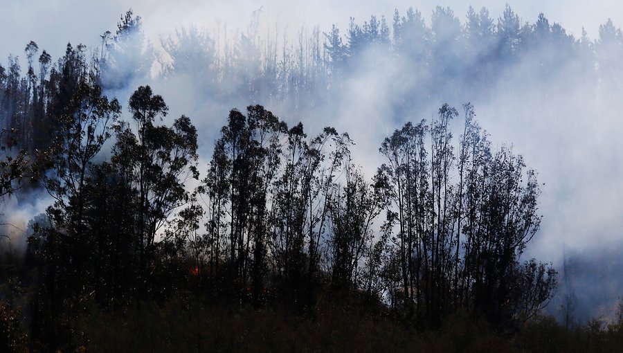 Incendio forestal en Machalí fue controlado y bajan Alerta Roja a Amarilla