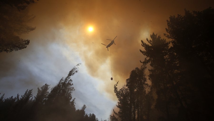 Incendio forestal consume más de 80 hectáreas de arbustos en Pirque