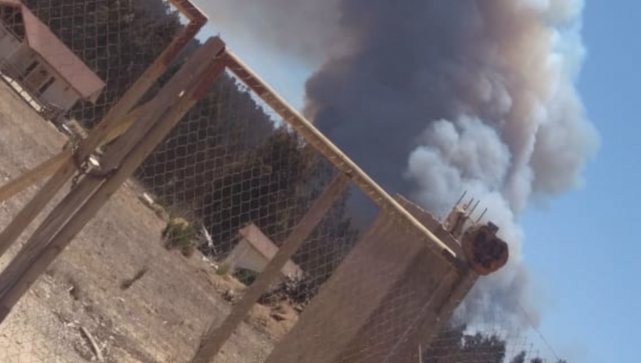 Alerta Roja en El Quisco: Incendio forestal en sector El Totoral ha consumido más de 250 hectáreas