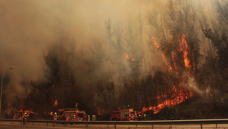 Por amenaza de incendio forestal, Onemi mantiene Alerta Temprana Preventiva en la región de Valparaíso
