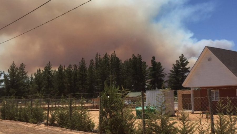 Activo se mantiene incendio forestal que afecta a El Quisco, Algarrobo y Casablanca