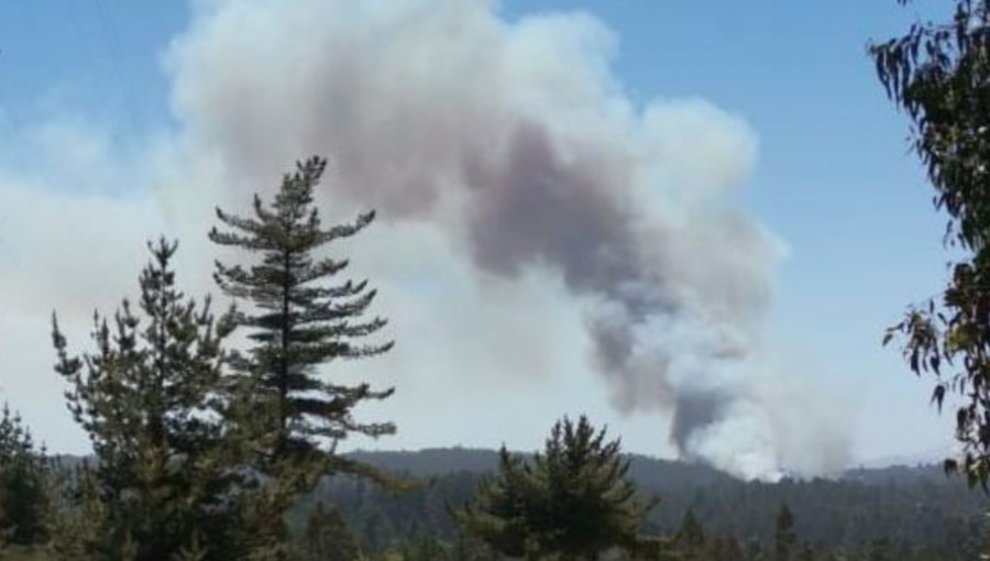 Incendio forestal que afecta a El Quisco, Algarrobo y Casablanca ha consumido más de 700 hectáreas