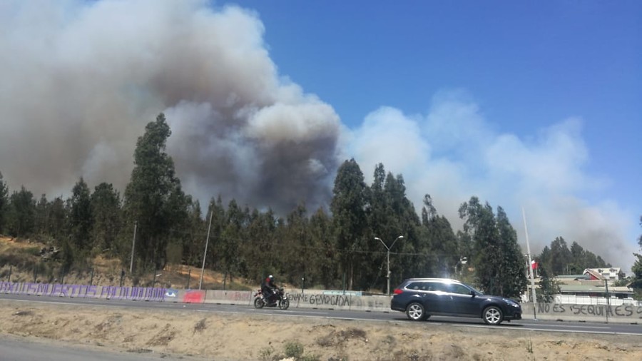 Incendio forestal en Placilla obliga a declarar Alerta Roja en la comuna de Valparaíso
