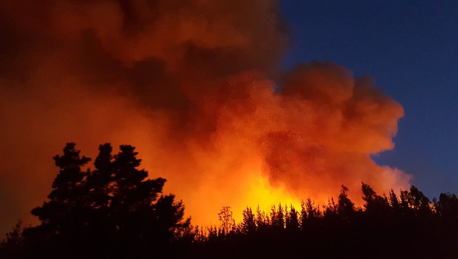 Extienden la Alerta Temprana para la región de Valparaíso por amenaza de incendio forestal