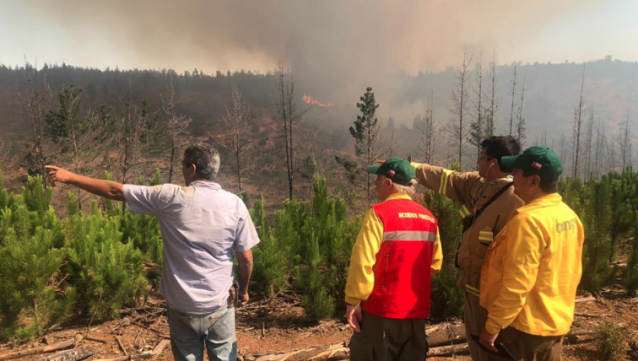 Amplían Alerta Roja a Valparaíso y Viña del Mar por incendio forestal cercano a zona residencial