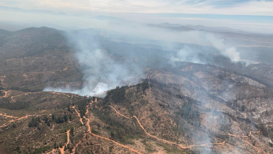 Focos de incendio forestal en Valparaíso y Viña del Mar han consumido más de 500 hectáreas