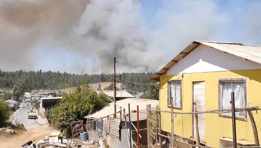 Incendio forestal en Valparaíso y Viña: Bomberos destaca que el viento se proyecte en dirección contraria a viviendas