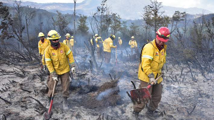 Seis de los 25 incendios forestales en el país se encuentran activos, según Conaf