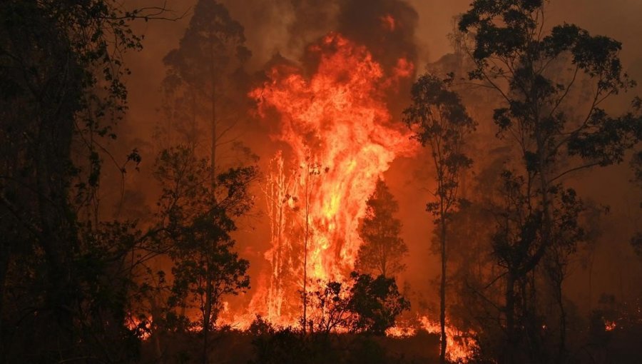 Nube de humo de los gigantescos incendios forestales en Australia llega a Chile