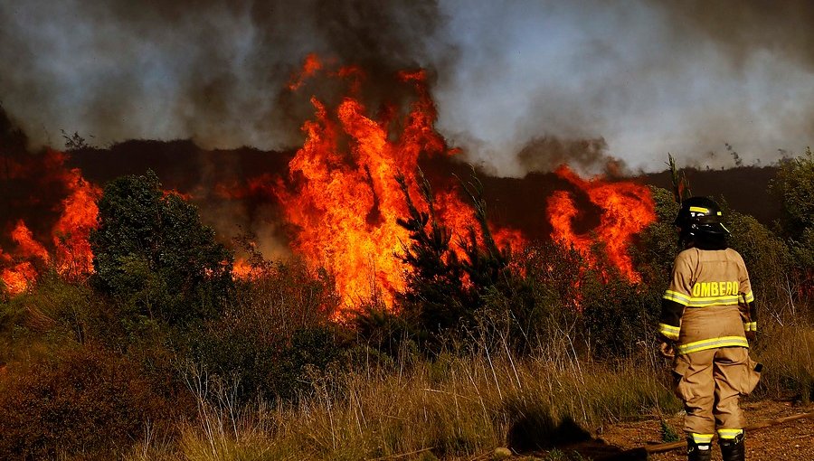 Conaf: incendios forestales han consumido 20.100 hectáreas en el país