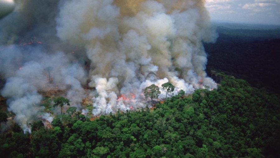 La Amazonía brasileña registró cerca de 90 mil focos de incendio durante el 2019