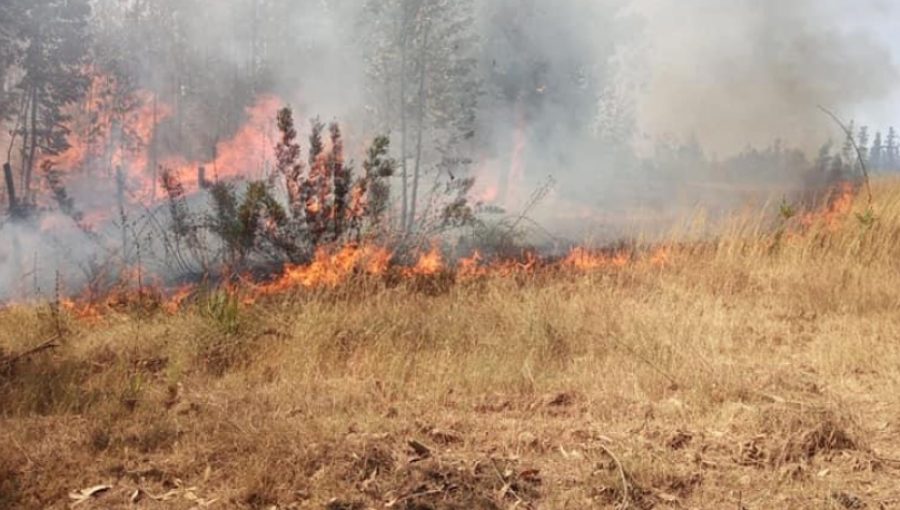 Mantienen Alerta Roja en Navidad por incendio forestal cercano a viviendas