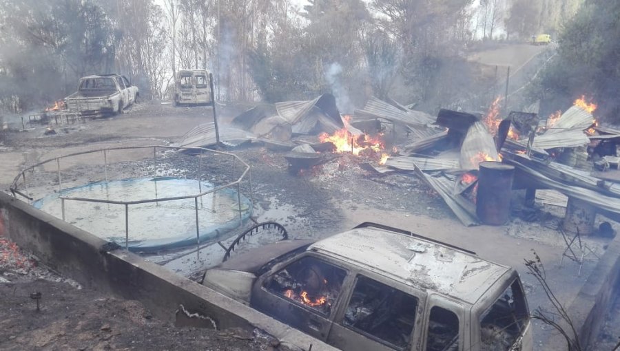 Incendios forestales en el Biobío han consumido cinco viviendas y 600 hectáreas