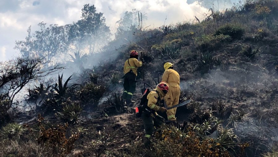 Más de 400 personas combaten gigantesco incendio forestal declarado en Ecuador