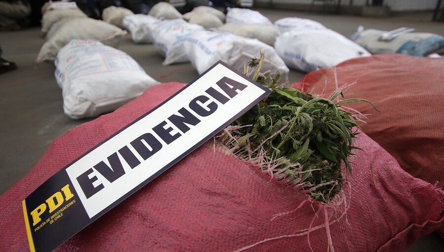 Descubren 82 gramos de marihuana oculta en baño de paso fronterizo en Panguipulli