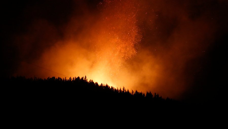 Alerta Roja en Ercilla y Angol por incendio forestal que se encuentra cercano a zonas pobladas