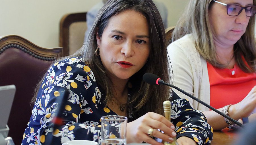 Diputada Pérez acusó al Gobierno de boicotear la reposición del voto obligatorio
