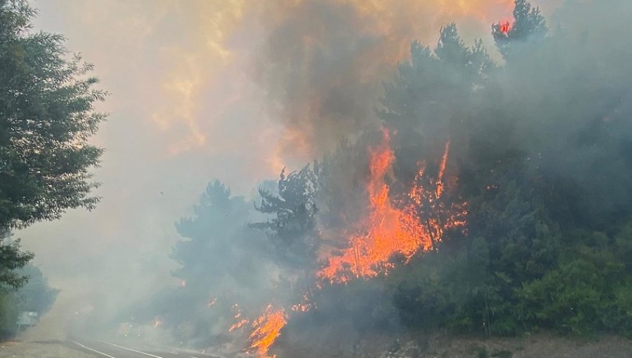 Declaran Alerta Amarilla para la provincia de Arauco por incendios forestales activos simultáneamente