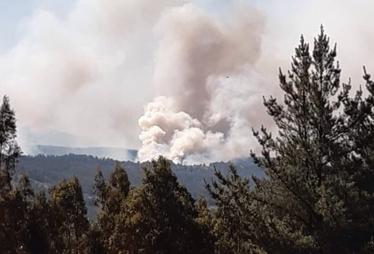 Declaran Alerta Roja para la comuna de Lumaco por incendio forestal cercano a sectores habitados