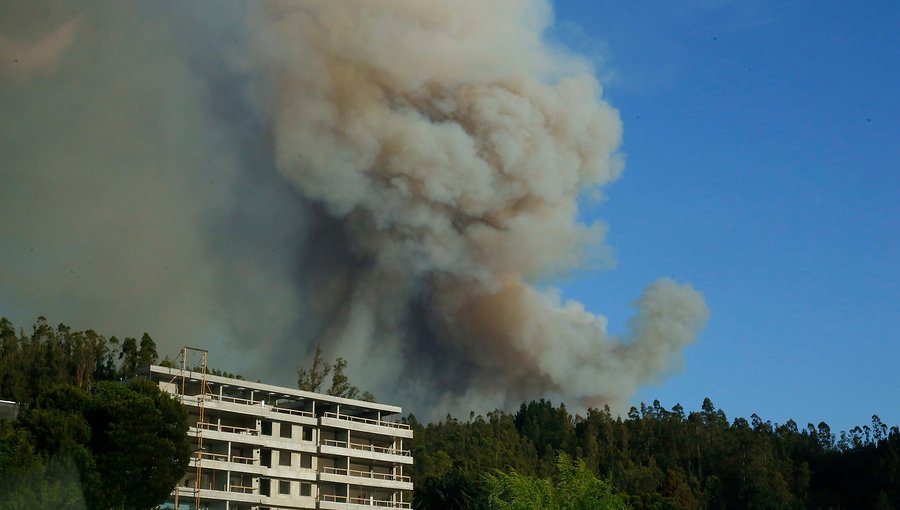 Alerta Roja en Chiguayante por incendio forestal que obligó a evacuar un hogar de ancianos
