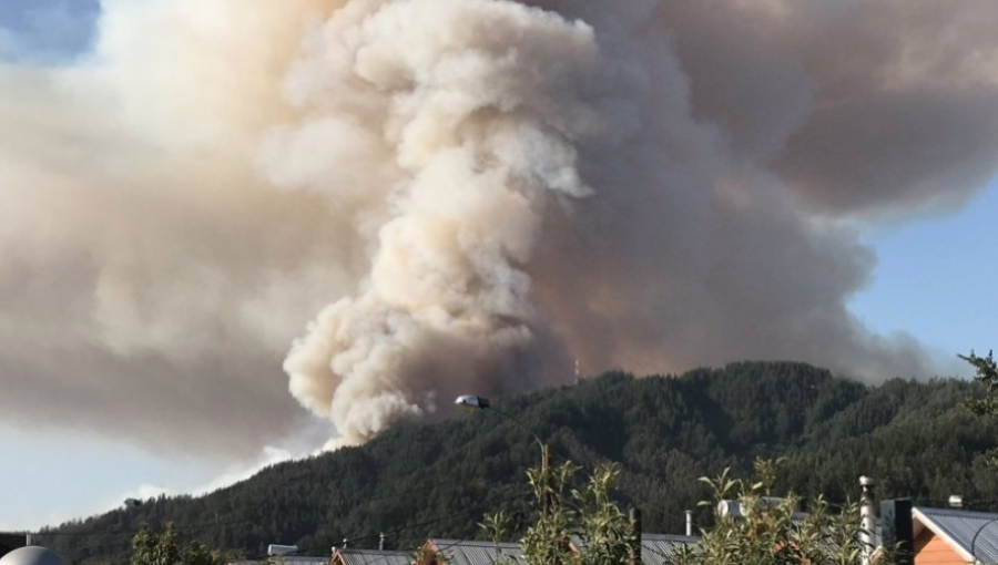 Incendios forestales consumen más de 500 hectáreas en las regiones del Biobío y La Araucanía