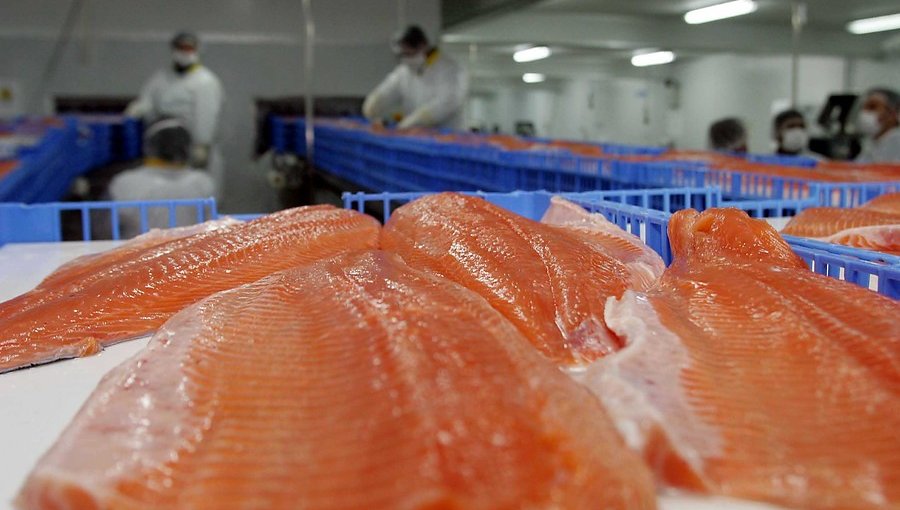 Seremi Metropolitana de Salud ordena retirar marca de salmones ahumados por presencia de bacteria