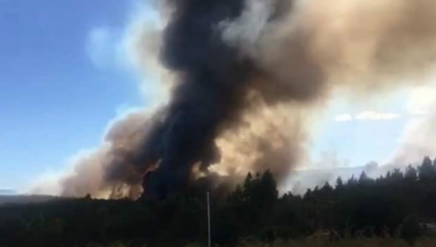 13 de los 31 incendios forestales registrados en el país se encuentran activos