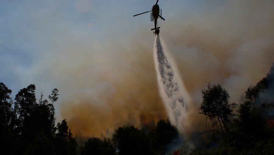 Incendios forestales en la región del Biobío han consumido más de 2.400 hectáreas