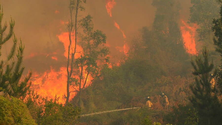 Alerta Amarilla para la comuna de Cauquenes por incendio forestal de comportamiento extremo