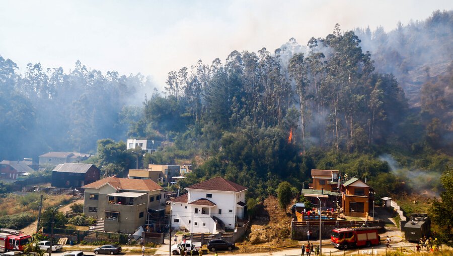 13 incendios forestales se mantienen activos en el país: los más relevantes se registran en el Biobío