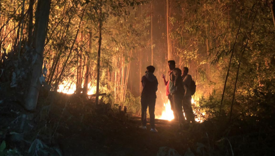 Conaf: De los 59 incendios forestales en el país, 19 permanecen activos y 34 controlados
