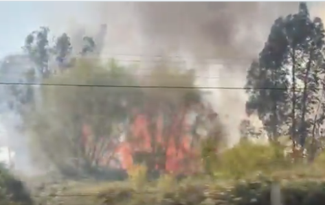 Declaran Alerta Roja para Chimbarongo por incendio forestal cercano a sectores habitados