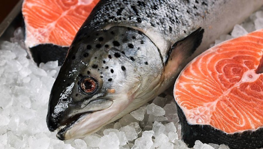 Suspenden envíos de salmón a China por aumento de casos de coronavirus