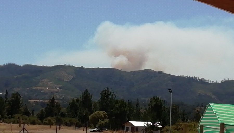 Decretan Alerta Amarilla para la región de Ñuble por incendios forestales