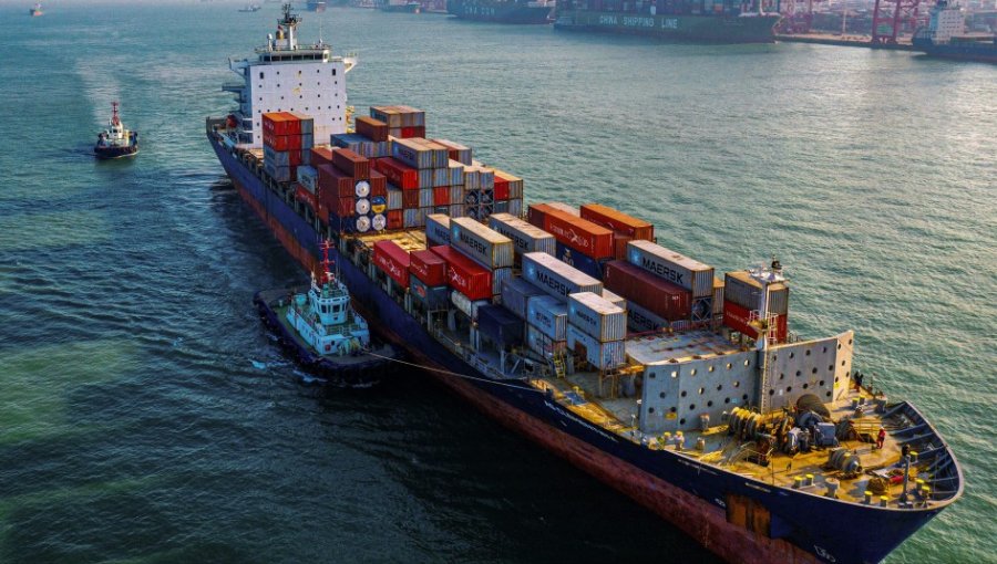 Fedefruta confirma que se comercializaron 100 containers en China y que productos están "aguantando bien"