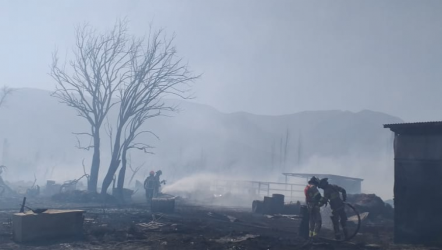 Incendio forestal consume seis viviendas y deja sin vida a unos 100 animales en San Felipe